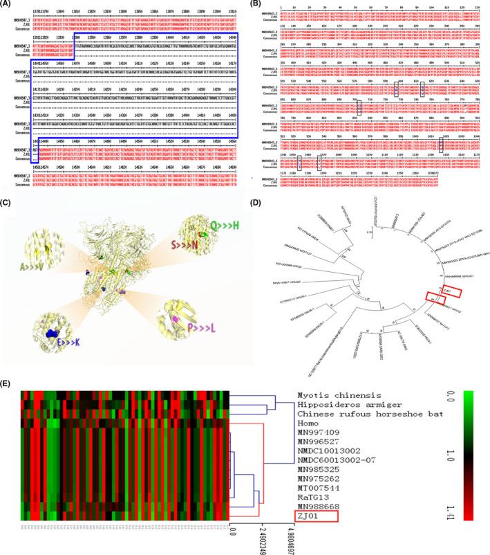 https://cdn.ncbi.nlm.nih.gov/pmc/blobs/057b/7431649/caf9fdd50dac/IRV-14-564-g002.jpg