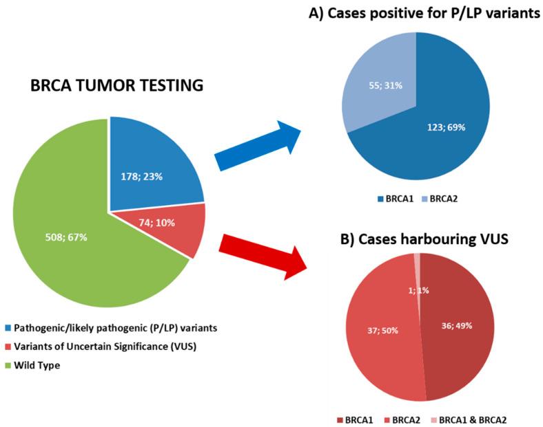 https://cdn.ncbi.nlm.nih.gov/pmc/blobs/0597/8996829/9fa7c46b76d1/cancers-14-01638-g001.jpg