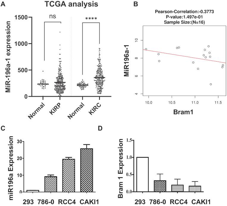 https://cdn.ncbi.nlm.nih.gov/pmc/blobs/05a1/8579441/ba608da739ad/ijbsv17p4254g003.jpg
