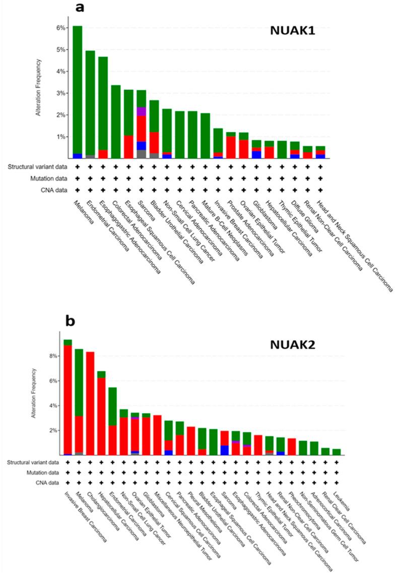 https://cdn.ncbi.nlm.nih.gov/pmc/blobs/05b2/8535158/6097d6b7b870/cells-10-02760-g001.jpg