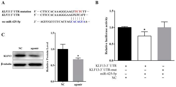 https://cdn.ncbi.nlm.nih.gov/pmc/blobs/05b9/5666783/070a658570fe/ijms-18-02101-g004.jpg