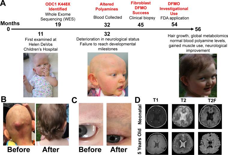 https://cdn.ncbi.nlm.nih.gov/pmc/blobs/05c6/8291972/69dbfa494a96/elife-67097-fig1.jpg