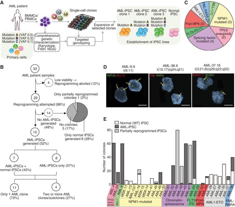 https://cdn.ncbi.nlm.nih.gov/pmc/blobs/05ec/10320625/3c97f5bccbc8/318fig1.jpg