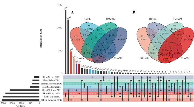 https://cdn.ncbi.nlm.nih.gov/pmc/blobs/05f5/11015565/36bb46b80d42/12864_2024_10248_Fig4_HTML.jpg