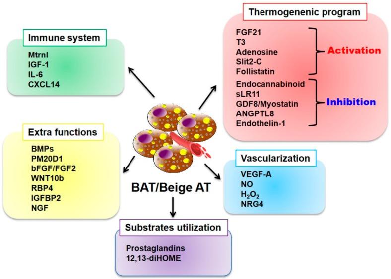 https://cdn.ncbi.nlm.nih.gov/pmc/blobs/05fe/6617388/6bcae37b2946/jcm-08-00854-g004.jpg