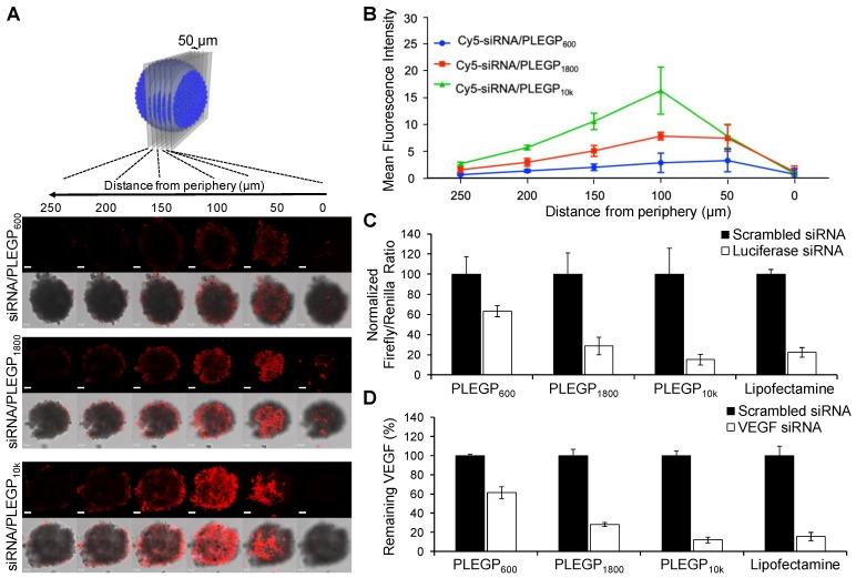 https://cdn.ncbi.nlm.nih.gov/pmc/blobs/061d/6599648/b3aa6a43ecbd/thnov09p4508g005.jpg