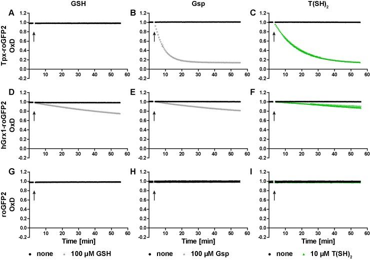 https://cdn.ncbi.nlm.nih.gov/pmc/blobs/0621/7046469/ae028f9449fb/elife-53227-fig2.jpg