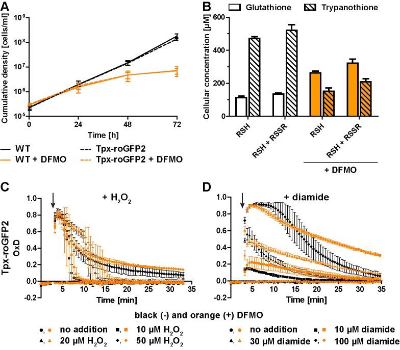 https://cdn.ncbi.nlm.nih.gov/pmc/blobs/0621/7046469/dff39d85f909/elife-53227-fig4.jpg