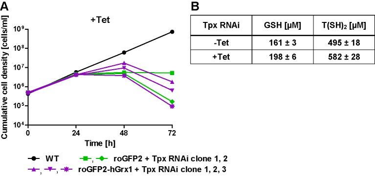 https://cdn.ncbi.nlm.nih.gov/pmc/blobs/0621/7046469/fdf63695aa92/elife-53227-fig5-figsupp1.jpg