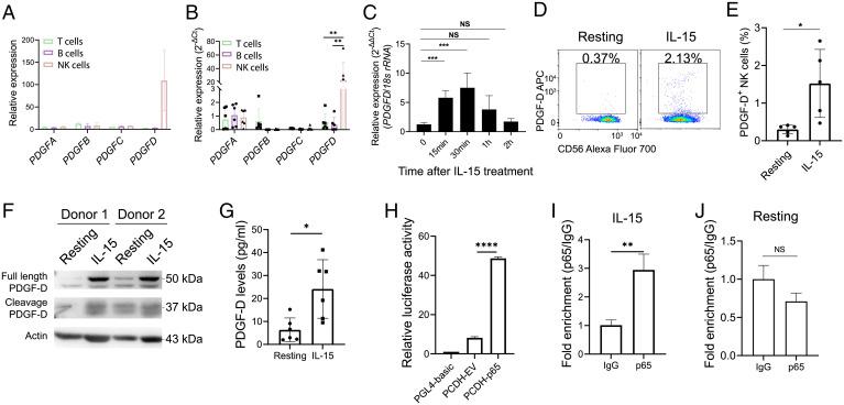 https://cdn.ncbi.nlm.nih.gov/pmc/blobs/0640/8784126/3de94f82dbe0/pnas.2114134119fig05.jpg