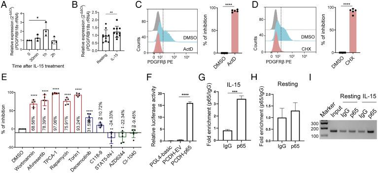 https://cdn.ncbi.nlm.nih.gov/pmc/blobs/0640/8784126/d88534686ed6/pnas.2114134119fig02.jpg