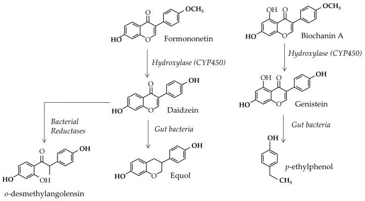 https://cdn.ncbi.nlm.nih.gov/pmc/blobs/0654/9864699/42cf45ab76b6/nutrients-15-00317-g004.jpg