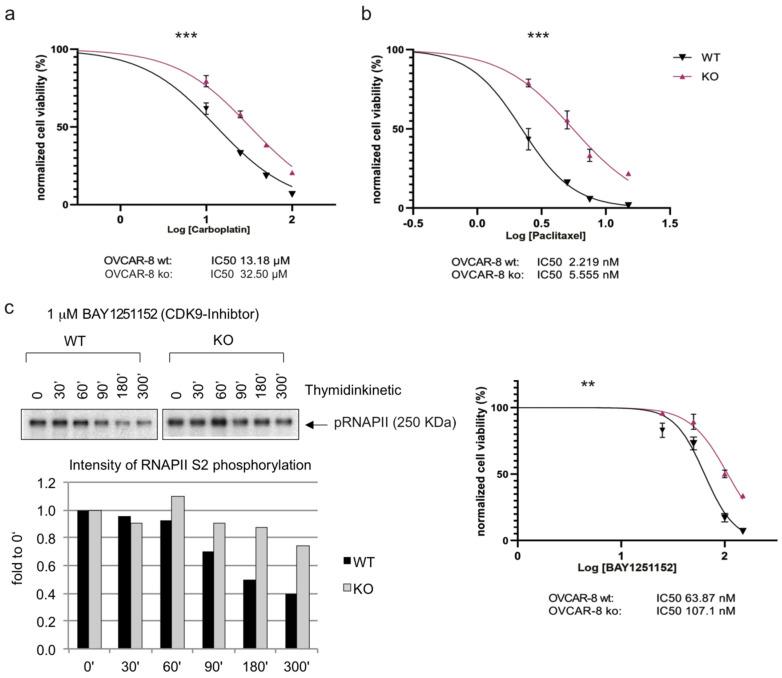 https://cdn.ncbi.nlm.nih.gov/pmc/blobs/0659/10778249/ebcb4e167222/cancers-16-00107-g004a.jpg