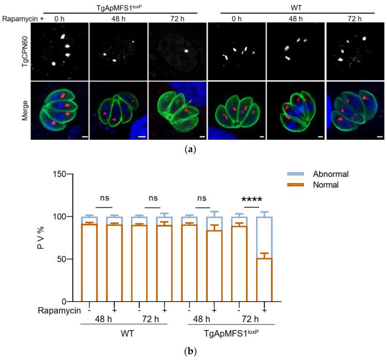 https://cdn.ncbi.nlm.nih.gov/pmc/blobs/065d/12389200/f54382f89c68/pathogens-14-00763-g003.jpg
