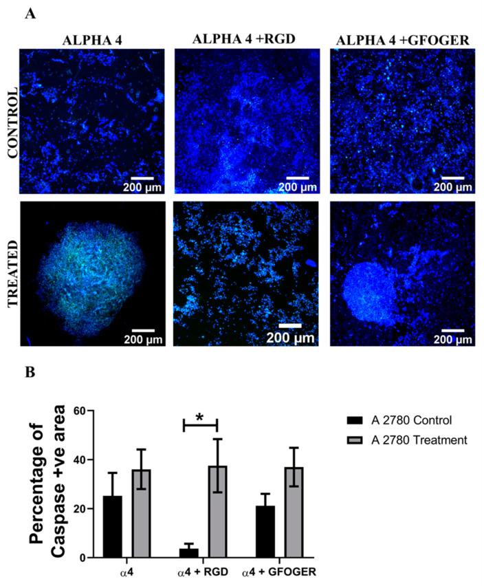 https://cdn.ncbi.nlm.nih.gov/pmc/blobs/0673/8909317/b22154e8c09d/cancers-14-01274-g005.jpg
