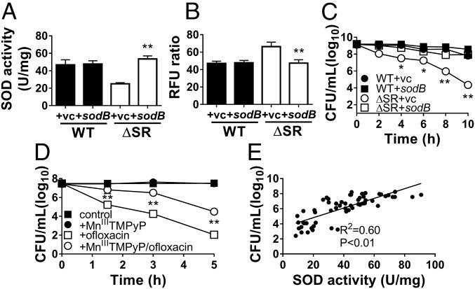 https://cdn.ncbi.nlm.nih.gov/pmc/blobs/0685/6166797/b0ea647616c1/pnas.1804525115fig04.jpg
