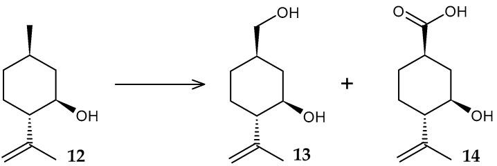 https://cdn.ncbi.nlm.nih.gov/pmc/blobs/068e/11279926/0635bf9890fb/molecules-29-03378-g006.jpg