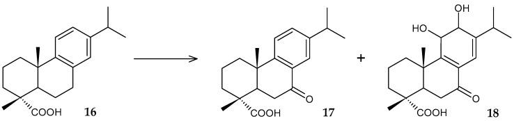 https://cdn.ncbi.nlm.nih.gov/pmc/blobs/068e/11279926/496ed5a4c4d1/molecules-29-03378-g008.jpg