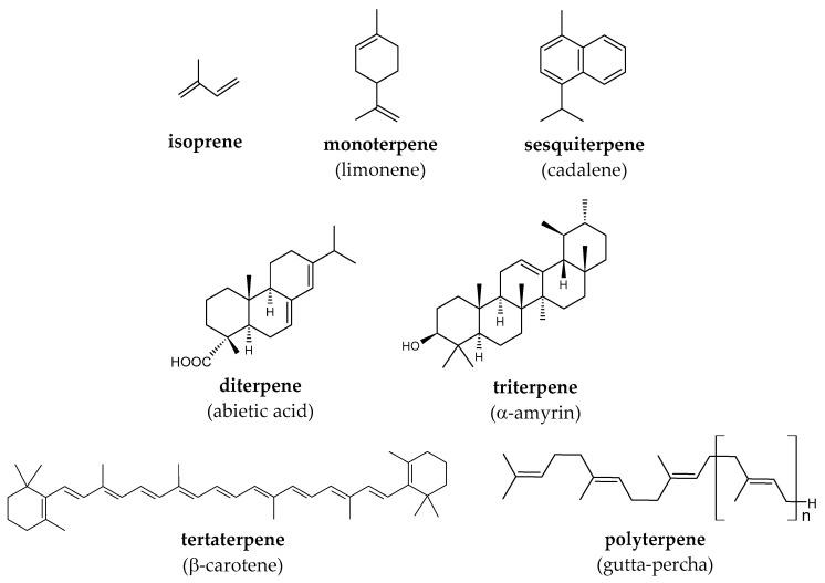 https://cdn.ncbi.nlm.nih.gov/pmc/blobs/068e/11279926/6798eb57419b/molecules-29-03378-g001.jpg