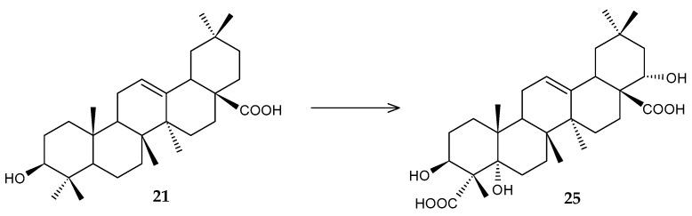 https://cdn.ncbi.nlm.nih.gov/pmc/blobs/068e/11279926/79802457bb26/molecules-29-03378-g011.jpg