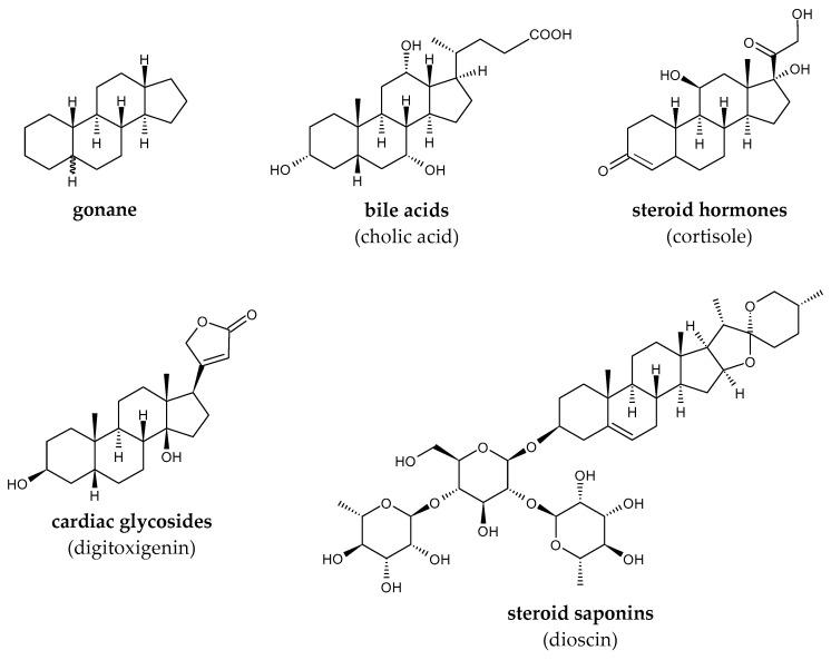 https://cdn.ncbi.nlm.nih.gov/pmc/blobs/068e/11279926/d77ead371b3c/molecules-29-03378-g012.jpg