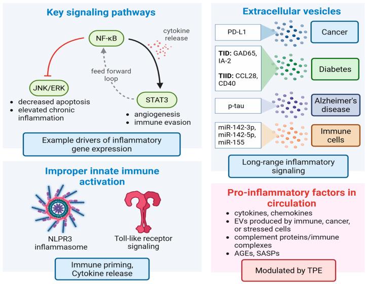 https://cdn.ncbi.nlm.nih.gov/pmc/blobs/069b/12292254/de7faafc6c8b/biomolecules-15-01000-g005.jpg