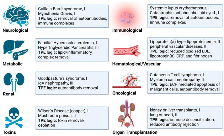 https://cdn.ncbi.nlm.nih.gov/pmc/blobs/069b/12292254/e0afd901f695/biomolecules-15-01000-g002.jpg