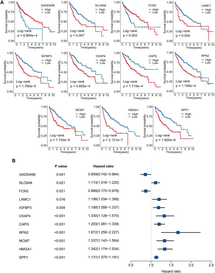 https://cdn.ncbi.nlm.nih.gov/pmc/blobs/06b3/8712696/f93d1e4953e7/fmolb-08-766609-g001.jpg