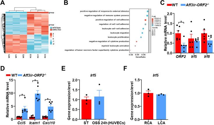 https://cdn.ncbi.nlm.nih.gov/pmc/blobs/06b9/12048156/60fe7b63458e/elife-103413-fig4-figsupp1.jpg