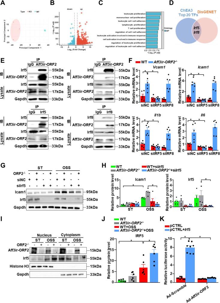 https://cdn.ncbi.nlm.nih.gov/pmc/blobs/06b9/12048156/b2109445ee71/elife-103413-fig4.jpg