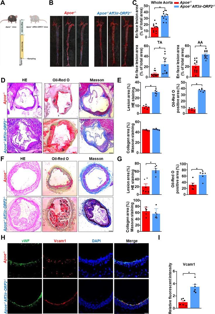 https://cdn.ncbi.nlm.nih.gov/pmc/blobs/06b9/12048156/b403fef3922b/elife-103413-fig3.jpg