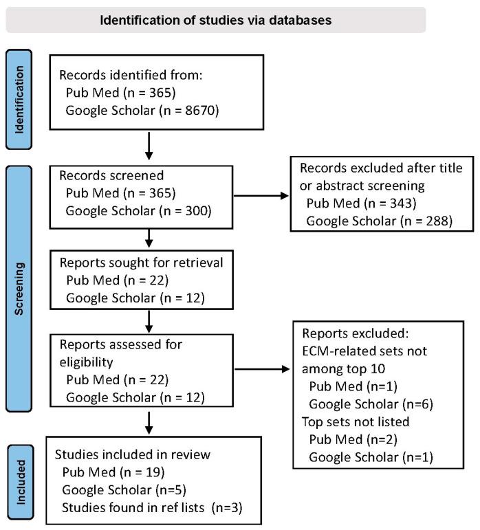 https://cdn.ncbi.nlm.nih.gov/pmc/blobs/06c7/11201521/3bdf2832d51c/brainsci-14-00522-g001.jpg