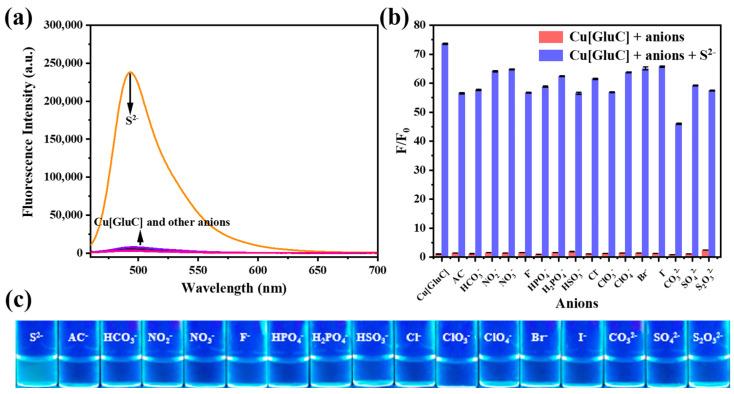 https://cdn.ncbi.nlm.nih.gov/pmc/blobs/06e4/9406183/17f9ff71b89f/biosensors-12-00600-g003.jpg