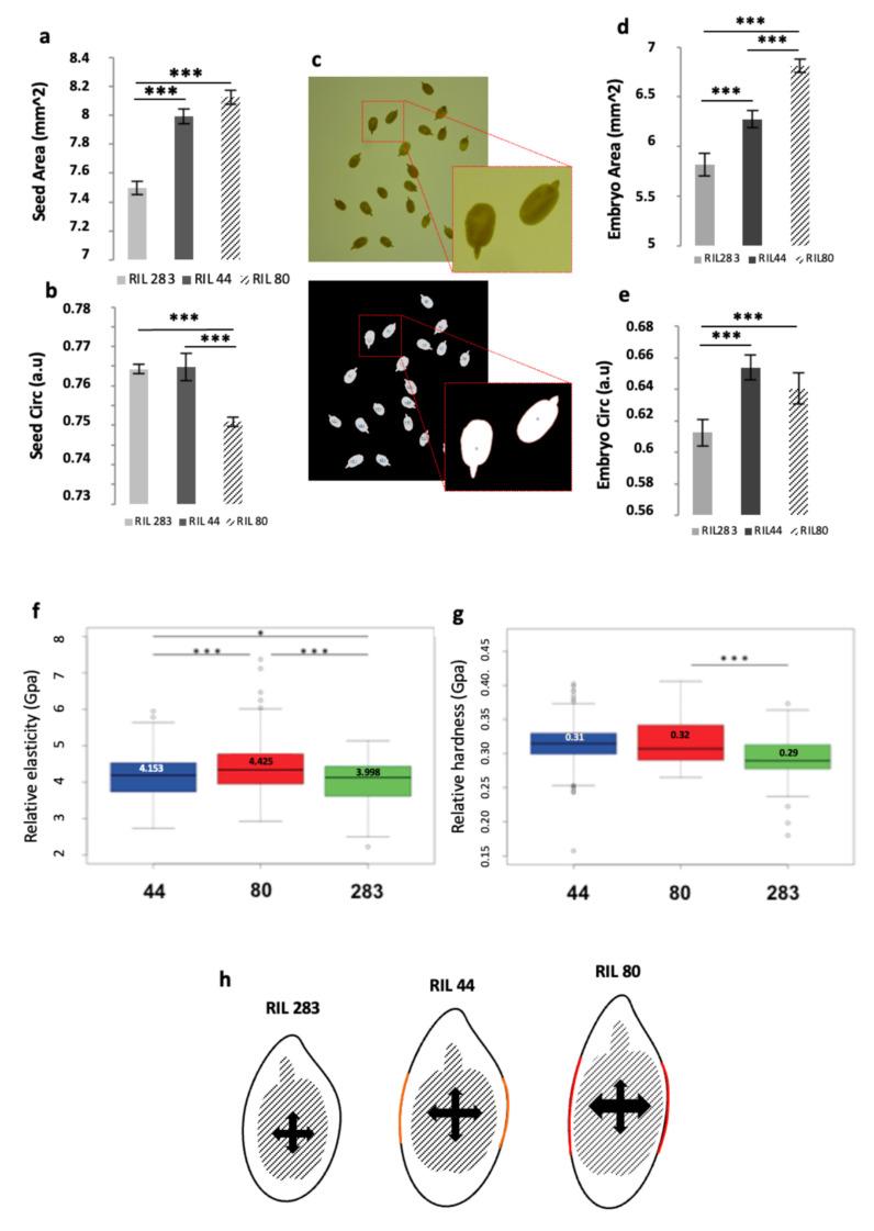 https://cdn.ncbi.nlm.nih.gov/pmc/blobs/06f8/8534900/2a4fb7dfb020/cells-10-02677-g008.jpg