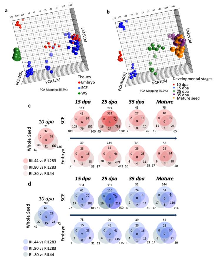 https://cdn.ncbi.nlm.nih.gov/pmc/blobs/06f8/8534900/439faf694ca4/cells-10-02677-g003.jpg