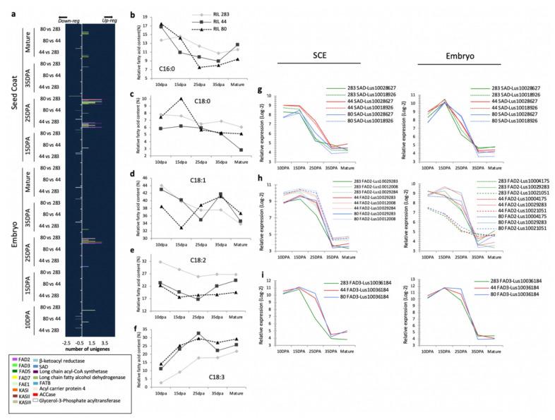 https://cdn.ncbi.nlm.nih.gov/pmc/blobs/06f8/8534900/5e56ea876f11/cells-10-02677-g005.jpg