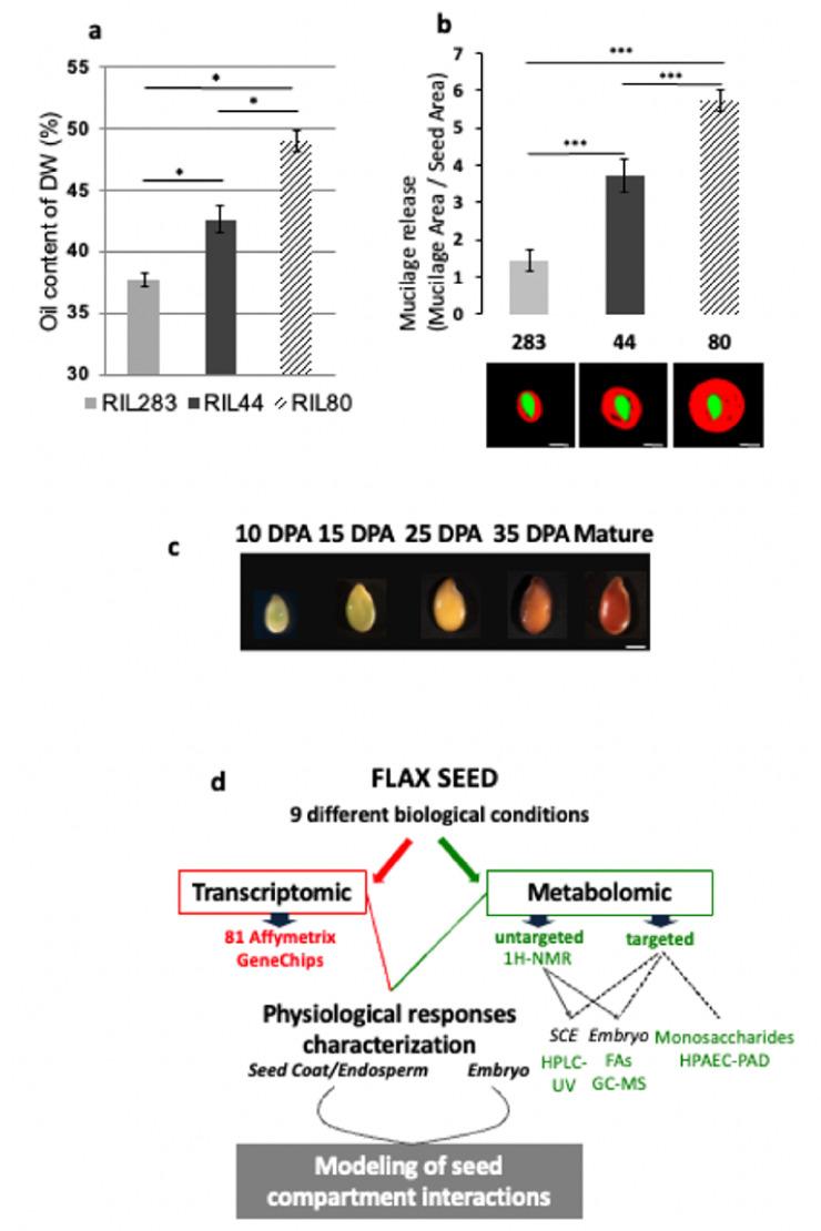 https://cdn.ncbi.nlm.nih.gov/pmc/blobs/06f8/8534900/d7e23237e124/cells-10-02677-g001.jpg