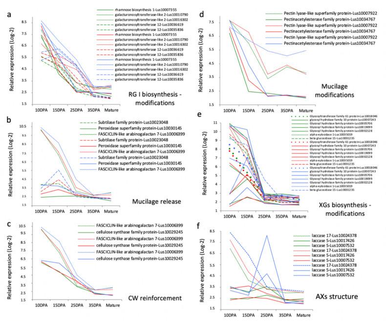 https://cdn.ncbi.nlm.nih.gov/pmc/blobs/06f8/8534900/df5351c3edcd/cells-10-02677-g004.jpg