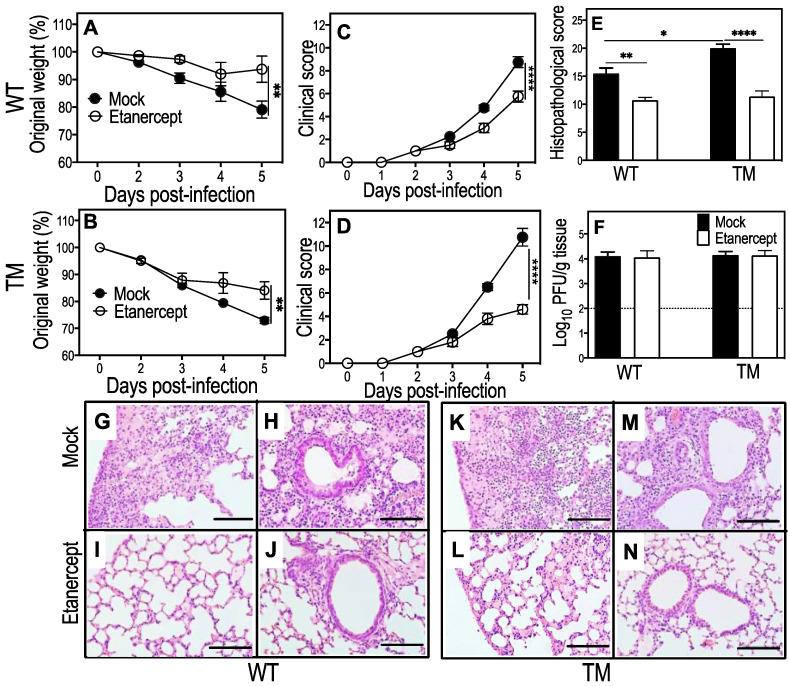 https://cdn.ncbi.nlm.nih.gov/pmc/blobs/070d/9966636/3218840bfa44/viruses-15-00318-g001.jpg