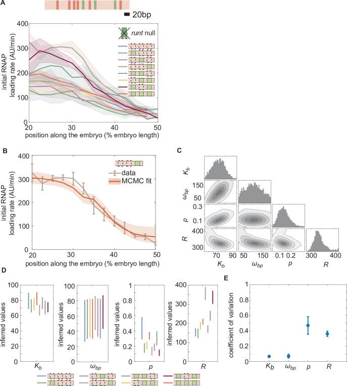 https://cdn.ncbi.nlm.nih.gov/pmc/blobs/0720/9836395/0ce141384e51/elife-73395-fig4.jpg