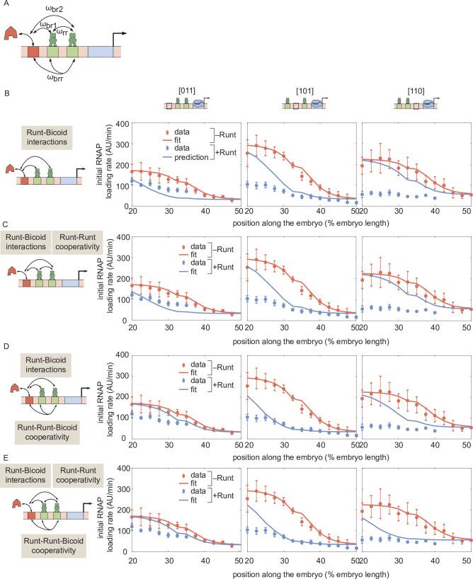 https://cdn.ncbi.nlm.nih.gov/pmc/blobs/0720/9836395/0e90d872ef57/elife-73395-fig6-figsupp2.jpg