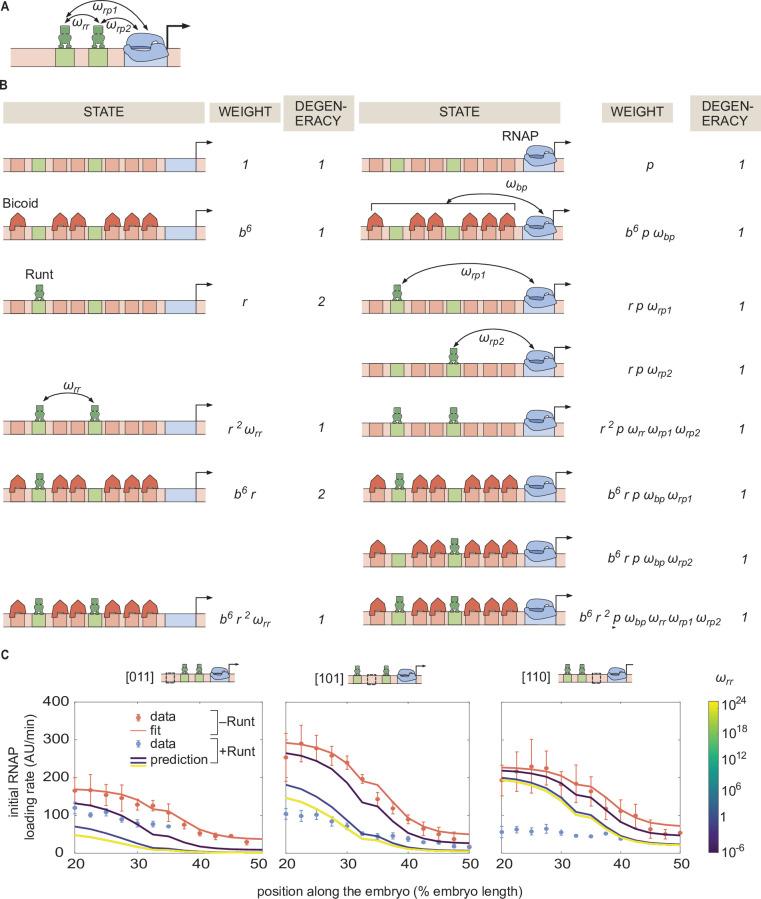 https://cdn.ncbi.nlm.nih.gov/pmc/blobs/0720/9836395/362eeb170a41/elife-73395-fig6-figsupp4.jpg