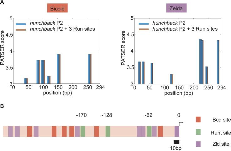 https://cdn.ncbi.nlm.nih.gov/pmc/blobs/0720/9836395/49a95ab5d98a/elife-73395-fig4-figsupp1.jpg
