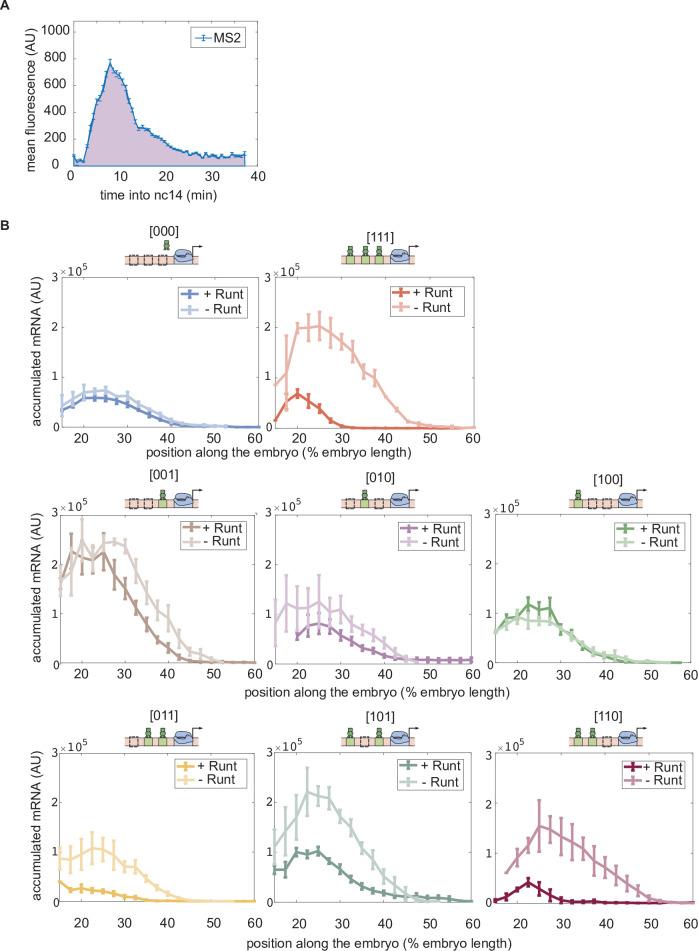 https://cdn.ncbi.nlm.nih.gov/pmc/blobs/0720/9836395/6872d96ea0b4/elife-73395-fig3-figsupp5.jpg
