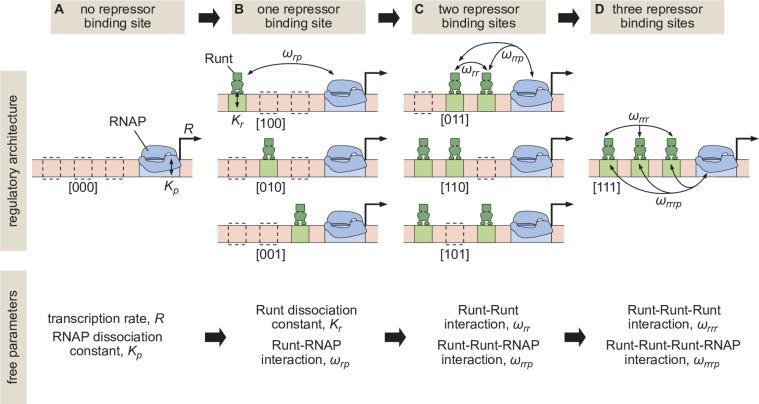 https://cdn.ncbi.nlm.nih.gov/pmc/blobs/0720/9836395/8c8790bac816/elife-73395-fig1.jpg