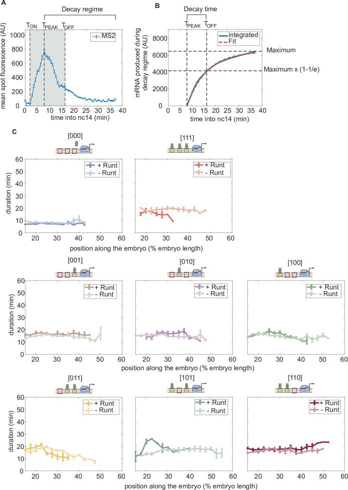 https://cdn.ncbi.nlm.nih.gov/pmc/blobs/0720/9836395/9f2c10792ad5/elife-73395-fig3-figsupp3.jpg