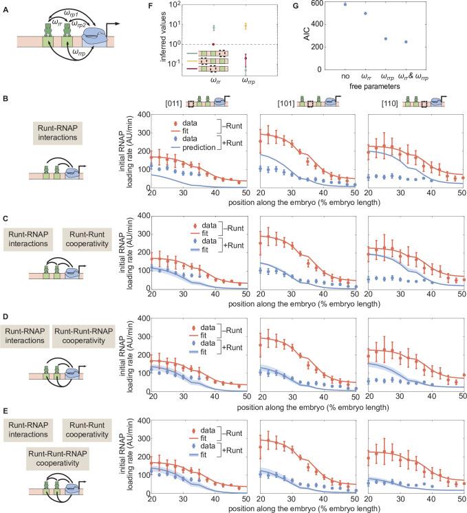 https://cdn.ncbi.nlm.nih.gov/pmc/blobs/0720/9836395/aafc14e09242/elife-73395-fig6.jpg