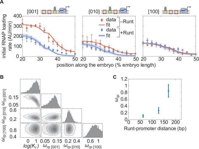 https://cdn.ncbi.nlm.nih.gov/pmc/blobs/0720/9836395/f034a4e1df42/elife-73395-fig5.jpg