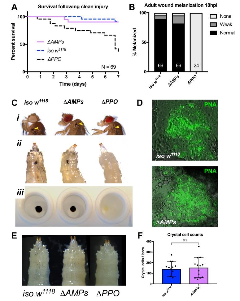 https://cdn.ncbi.nlm.nih.gov/pmc/blobs/0726/6398976/1f6056ccd930/elife-44341-fig1-figsupp2.jpg