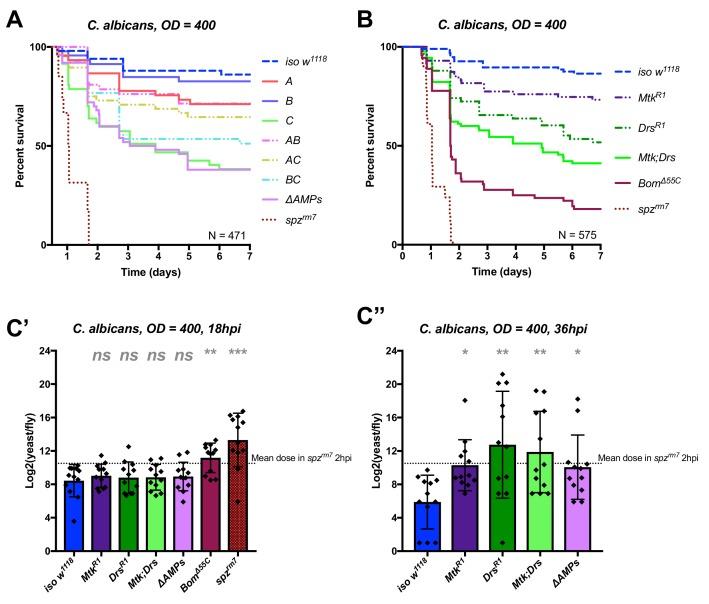 https://cdn.ncbi.nlm.nih.gov/pmc/blobs/0726/6398976/dda1a5841945/elife-44341-fig3.jpg